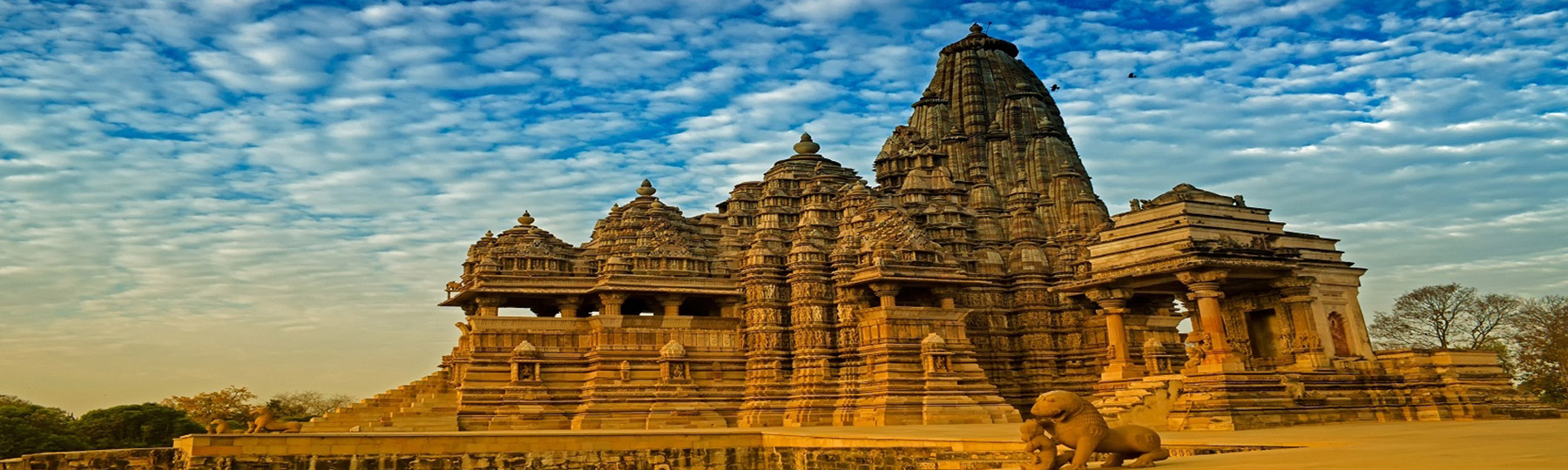 Tour Image