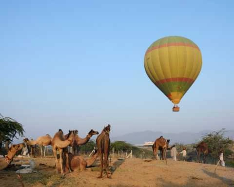 Fly High on a Hot Air Balloon Ride