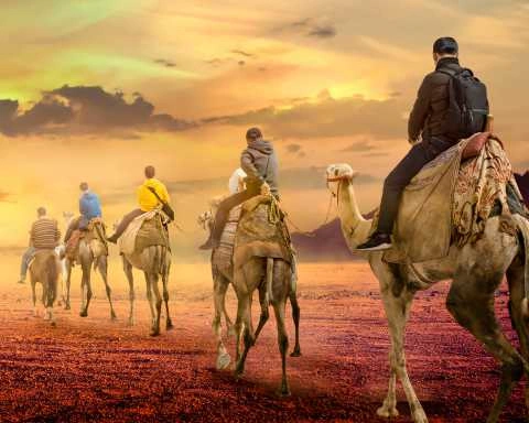 Take a Camel Safari Across the Desert 