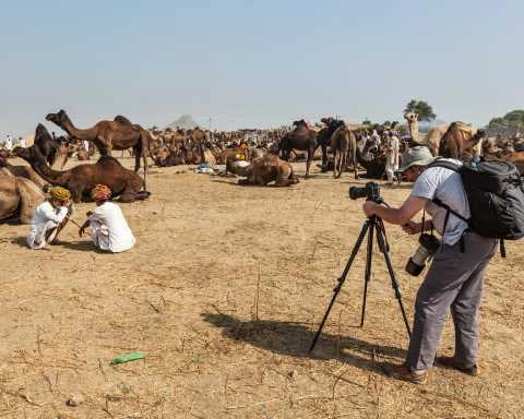 Witness the Iconic Camel Trading Spectacle