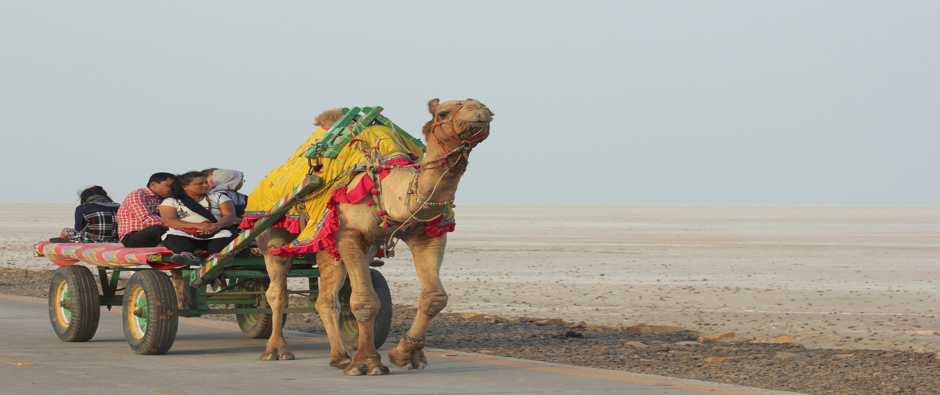 rann utsav with gujarat tour package