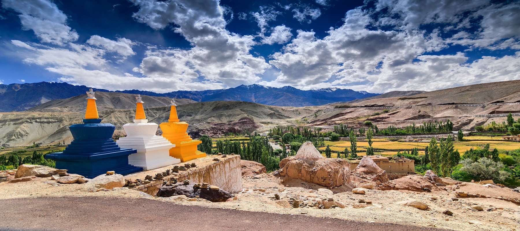 ladakh hemis festival tour package