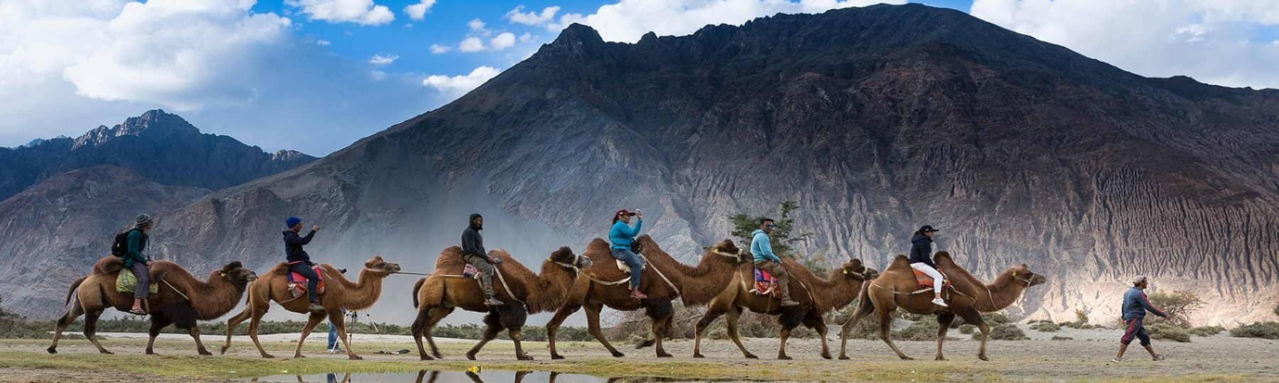 Camel Safari In Ladakh - GeTS Holidays