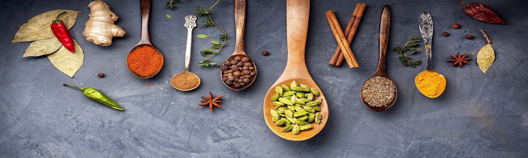 golden triangle with ayurveda in kerala tour