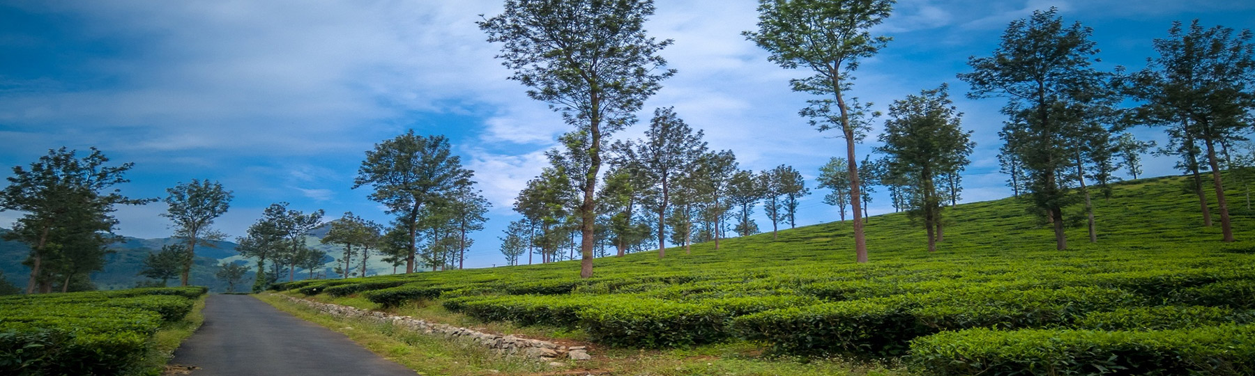 Kerala