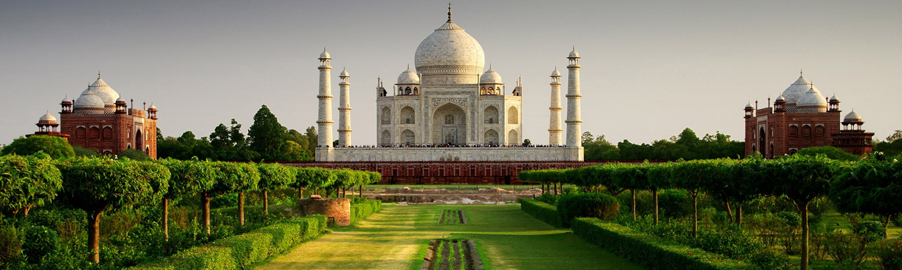 golden triangle tour with holi package