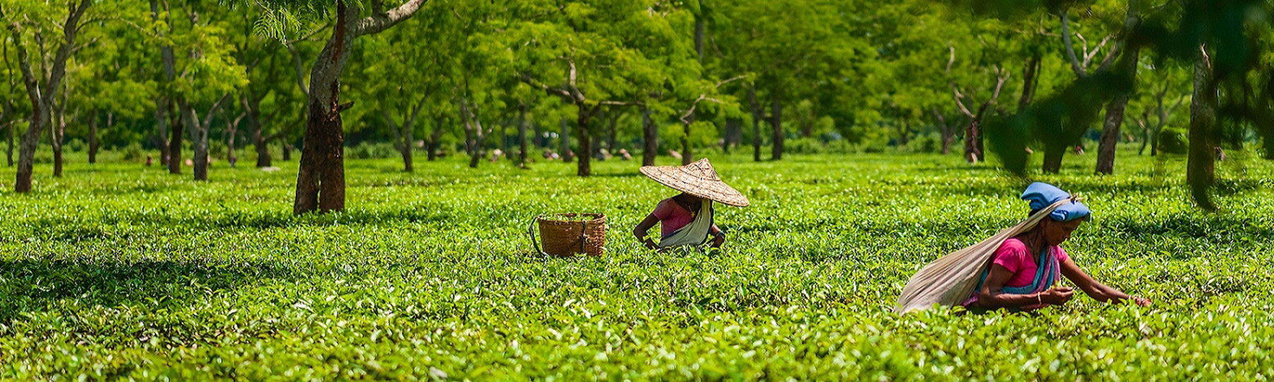 north east vacation tour package