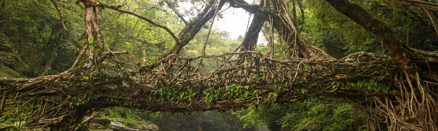 north east travel tour