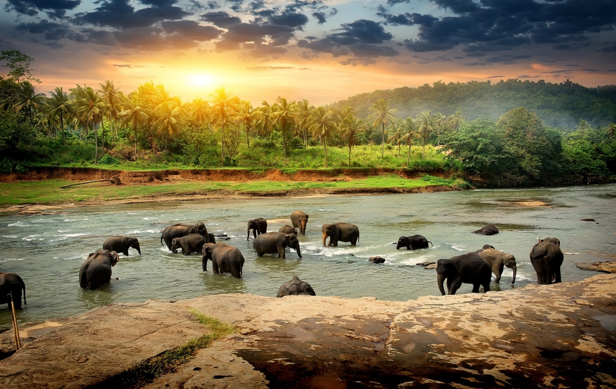 Sri Lanka Historical Tour