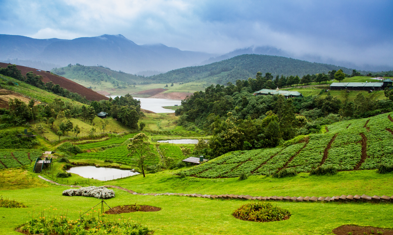 Best Of South Indian Hill Stations & Ooty