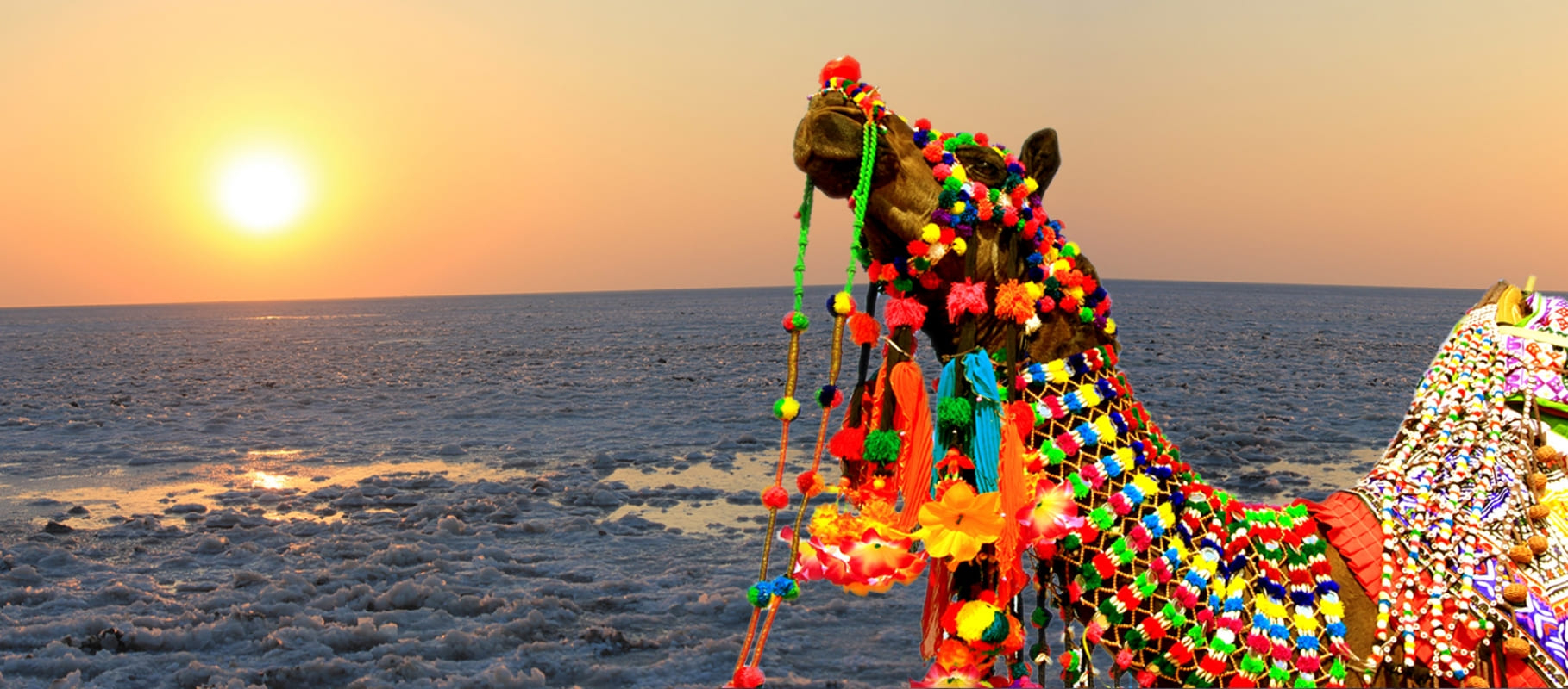 Rann Utsav Tour Package - GeTS Holidays
