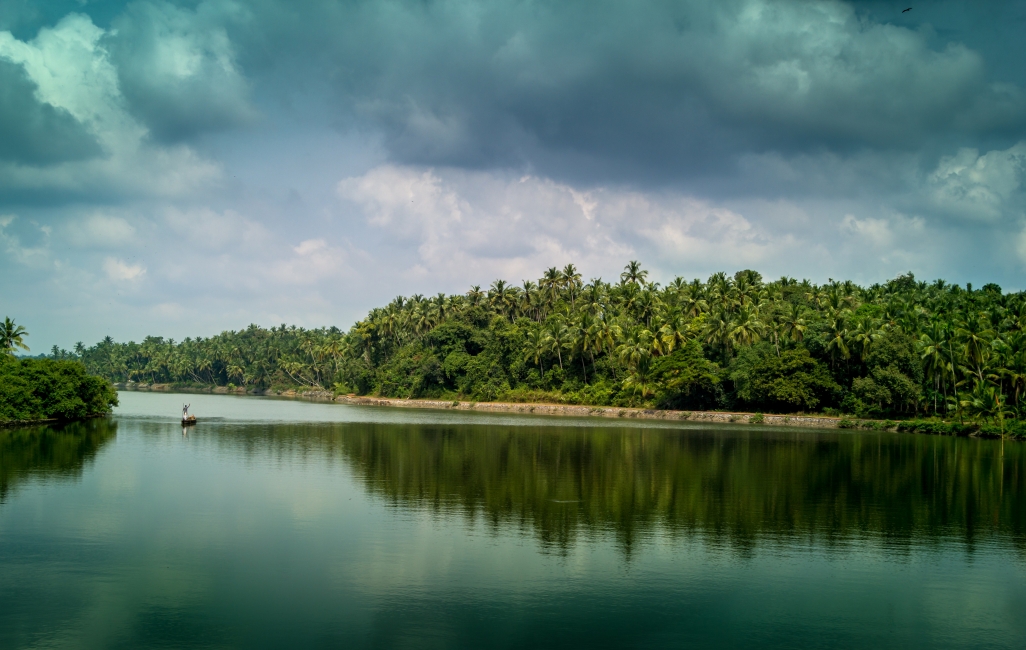 Enchanting Kerala with Wildlife