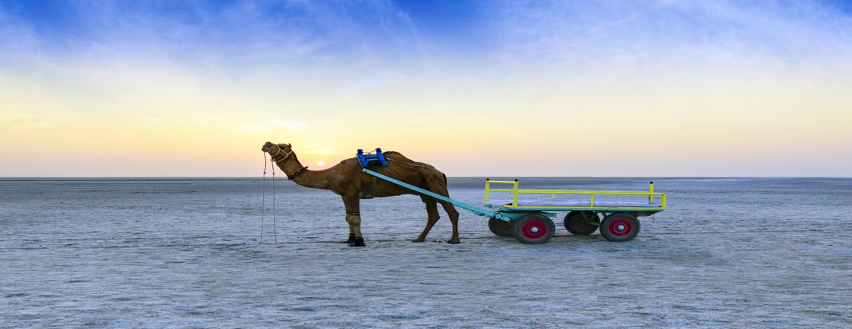 Rann Utsav with Beach Tour