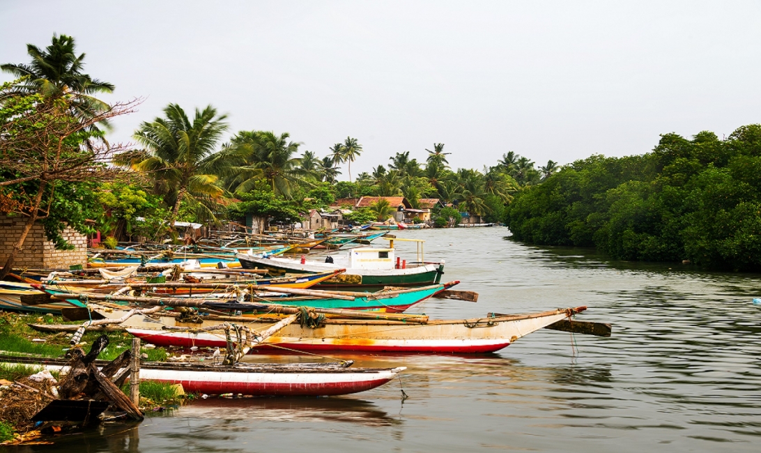 Buddhist Cultural Tour - Sri Lanka