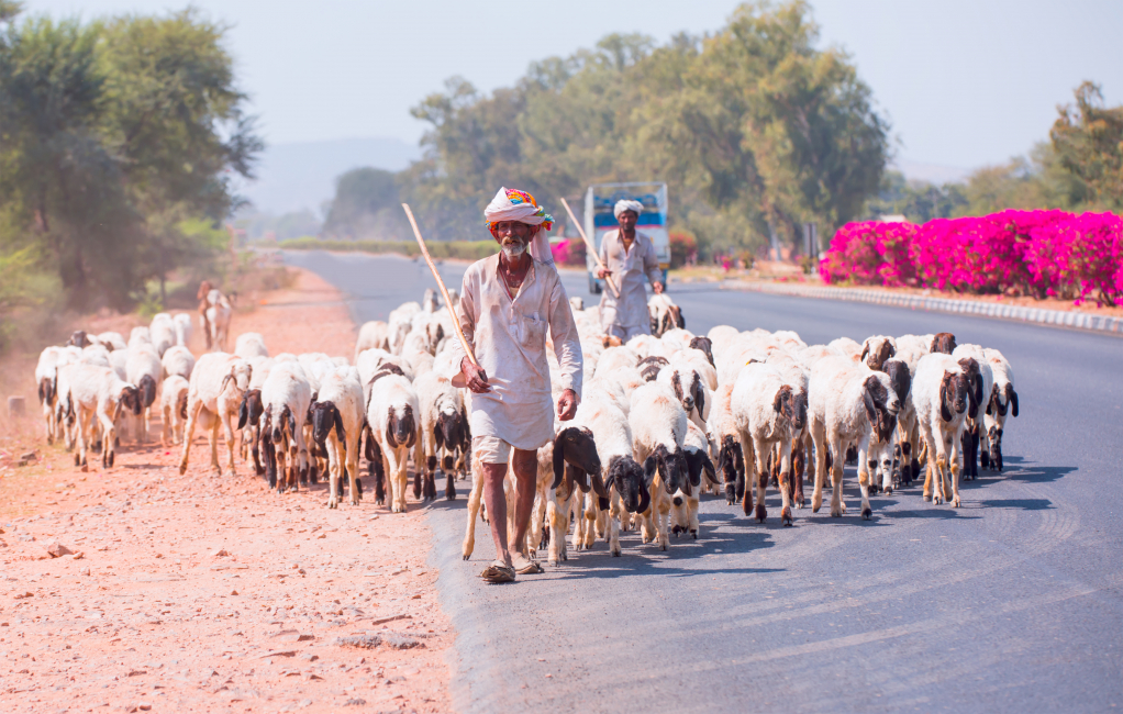 Silk and Village Tour of Varanasi