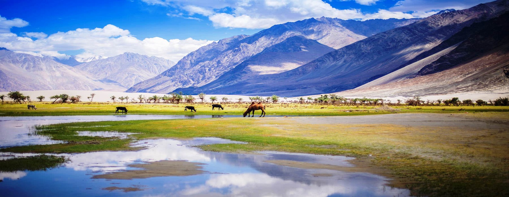 Leh-Ladakh Trekking Tour