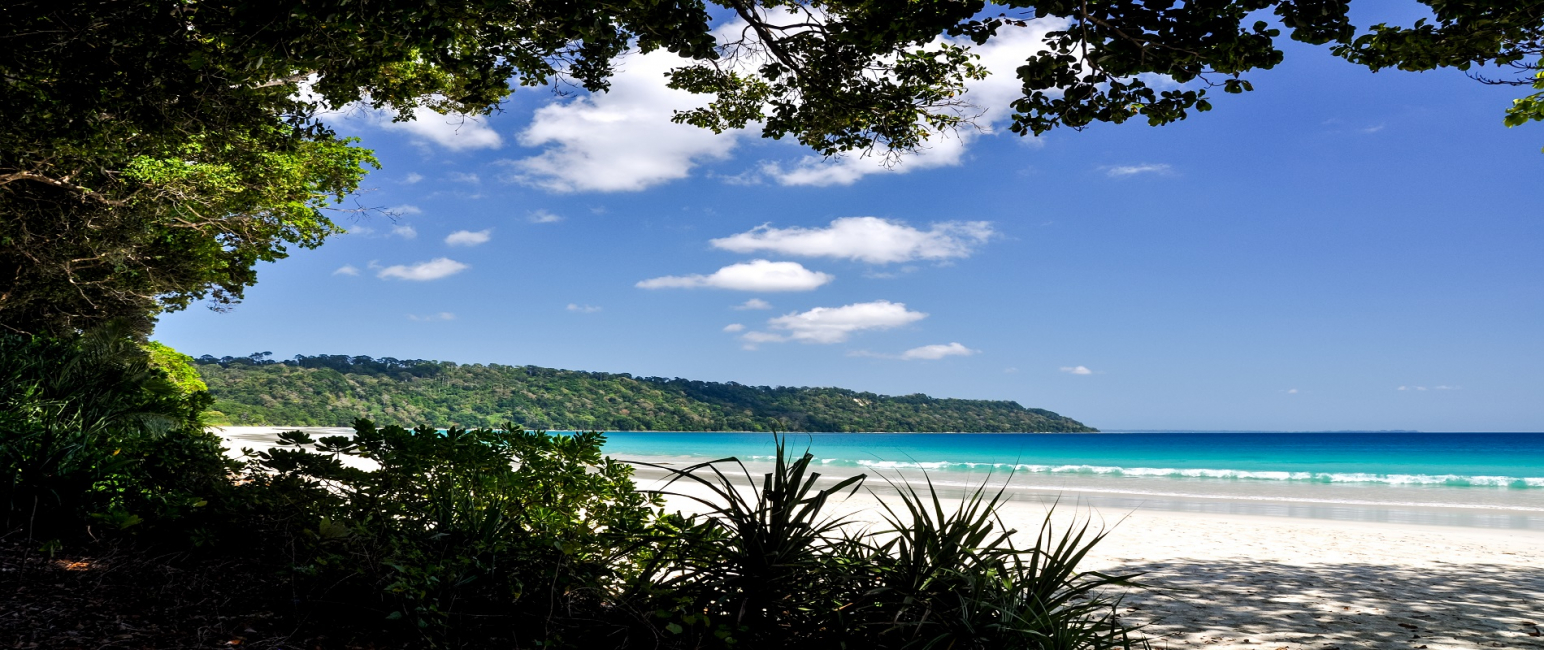 Up Close and Personal With Golden Sands And Pristine Sea in Andaman