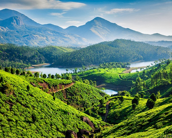 Munnar’s Green Tour